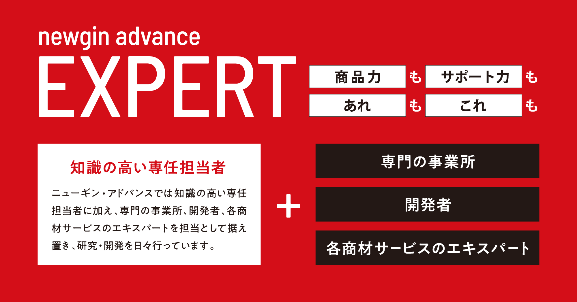 newgin advance EXPERT