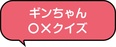 ギンちゃん○×クイズ