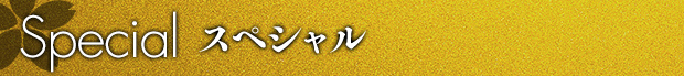 スペシャル