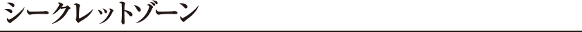シークレットゾーン