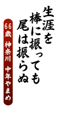 生涯を　棒に振っても　尾は振らぬ
