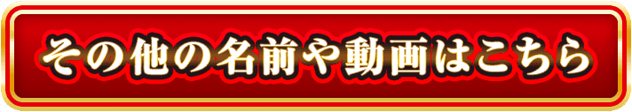 その他の名前や動画はこちら