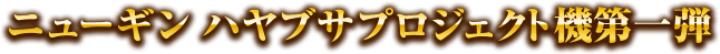 ニューギンハヤブサプロジェクト機第一弾