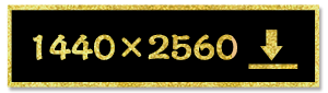 1440×2560