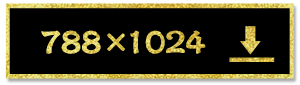 788×1024