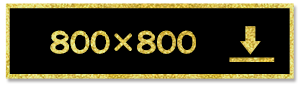 800×800