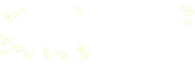 特徴
