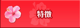 トップページ｜キュインハナチャン｜ニューギン