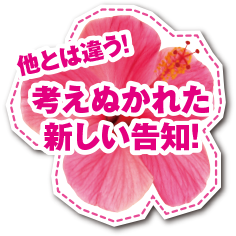 特徴｜キュインハナチャン｜ニューギン