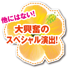 特徴｜キュインハナチャン｜ニューギン