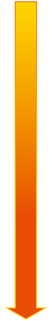 ↓