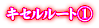 キセルルート①