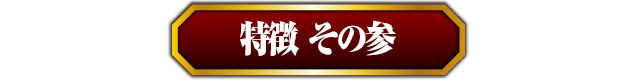 特徴その参