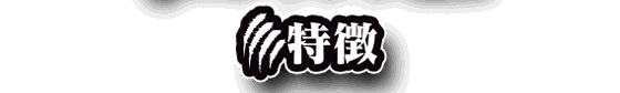 特徴