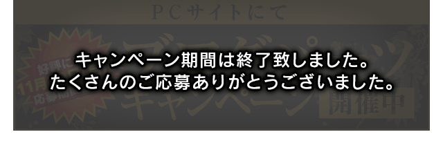 ブログパーツキャンペーン 開催中