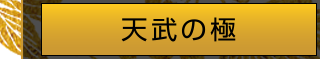 天武の極