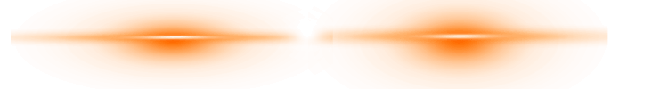 特徴