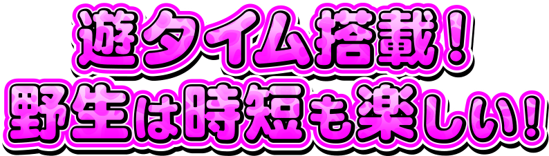 遊タイム搭載!野生は時短も楽しい!