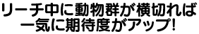 リーチ中に動物群が横切れば一気に期待度がアップ！