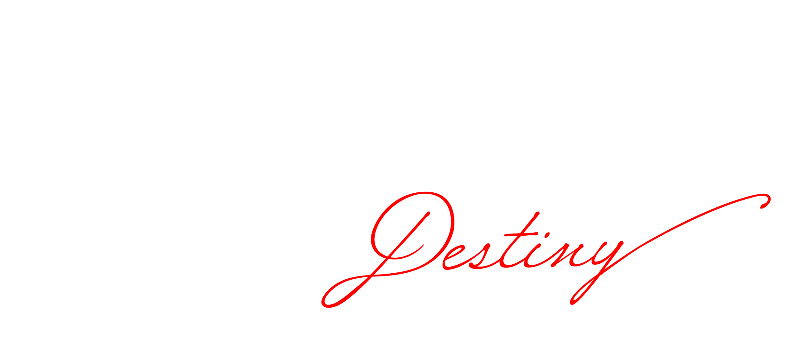 eタクトオーパス　デスティニー