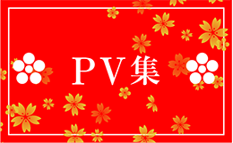 花慶PV集